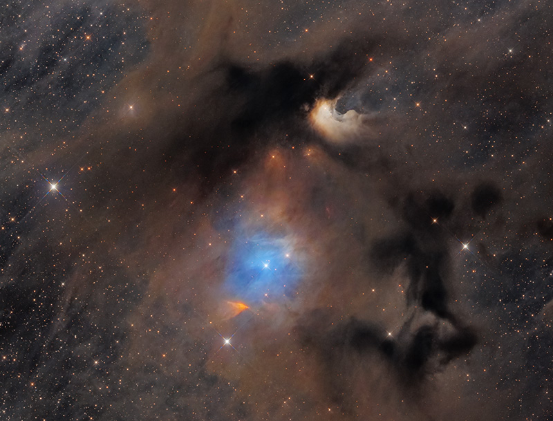 Bernes 142 - The Chameleon Molecular Cloud